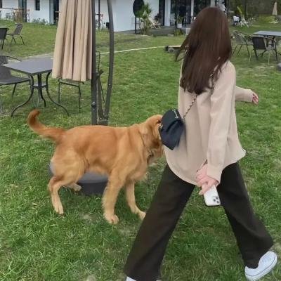 致不灭的你
